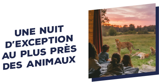 une nuit d\'exception au plus près des animaux
